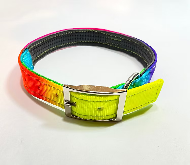 Byron Dog Collar —  Riata Braiding Technique