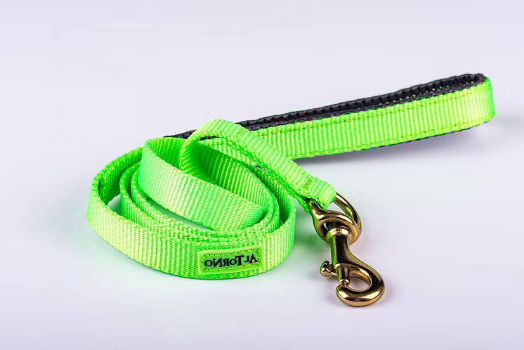 Rio Dog Lead - Biothane Waterproof