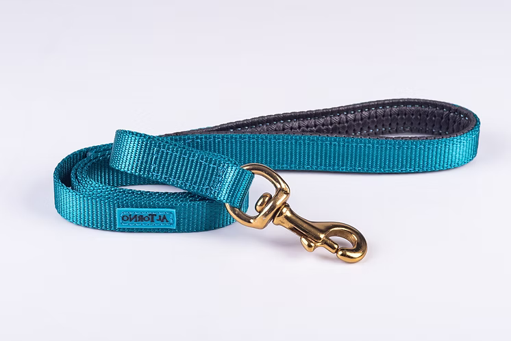 Rio Dog Lead - Biothane Waterproof
