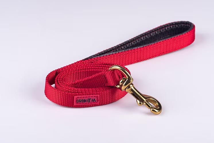 Rio Dog Lead - Biothane Waterproof