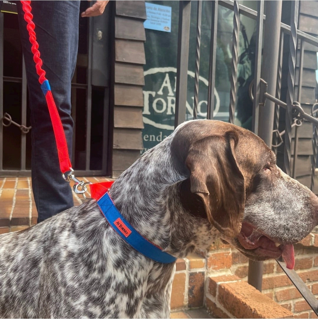 Rio (Double Colour) Dog Collar — Biothane Waterproof