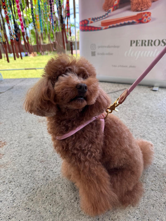 Tokyo Dog Harness — Italian Leather