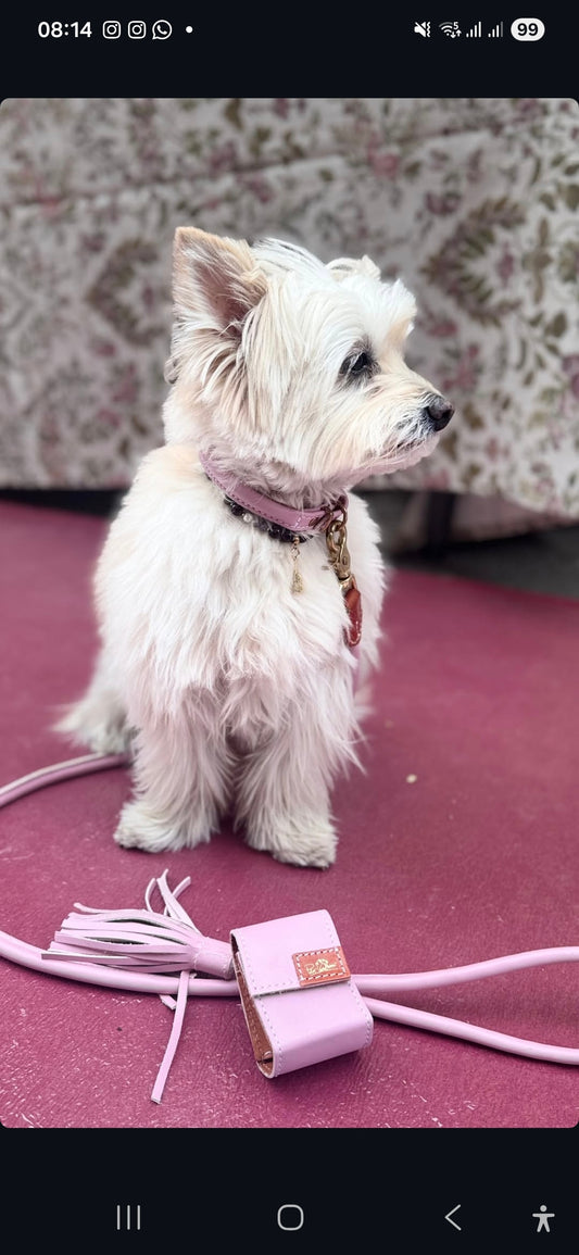 Tokyo Dog Lead — Italian Leather