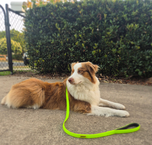 Rio (Single Colour) Dog Lead — Biothane Waterproof