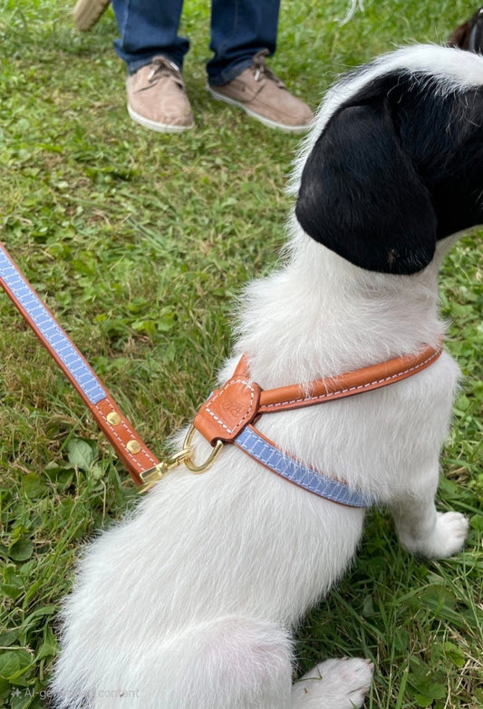 Madrid Dog Lead — Italian Leather